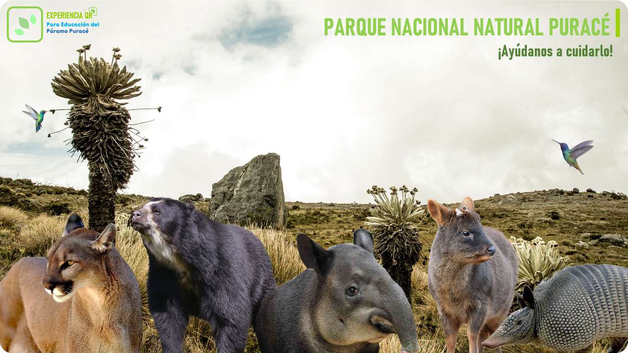 Fauna del PNN Puracé